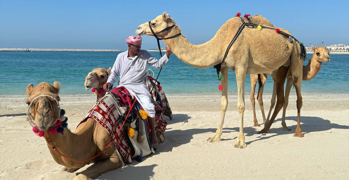 Abu Dhabi, Kamelreiten, Wüste, meer gerlingen zu buchen. Luxus und fernweh passen hier zusammen