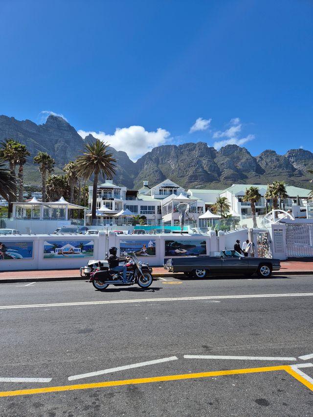 Dieses beeindruckende Bild zeigt eine luxuriöse Szenerie in Südafrika, genauer gesagt in Kapstadt, vor der spektakulären Kulisse der Zwölf Apostel-Bergkette. Im Vordergrund verleiht eine Harley-Davidson mit einem stilvoll geparkten Oldtimer-Cabrio der Szene eine Extraportion Abenteuerflair. Die Straße, mit ihrer markanten gelben Markierung, führt den Blick des Betrachters direkt in das exklusive Resort, das sich harmonisch zwischen tropischen Palmen und modernen Architekturelementen einfügt. Das klare Blau des Himmels und der Poollandschaft spiegeln die paradiesische Atmosphäre wider, während die imposanten Berge den perfekten Kontrast zur entspannten Küstenlandschaft bilden. Palmen und weiße Sonnenschirme verstärken das Urlaubsgefühl und runden das Gesamtbild einer luxuriösen Destination ab. Südafrika-Abenteuer trifft Luxus! 🌍🏍️ Entdecke die atemberaubende Küstenstraße von Kapstadt bis Camps Bay, genieße exklusive Resorts mit Blick auf die Zwölf Apostel und spüre den Puls Afrikas. Ob mit dem Motorrad die Küstenstraßen erkunden oder stilvoll in einem Oldtimer-Cabrio an der Promenade entlangfahren – dieses Reiseziel vereint Natur, Luxus und Abenteuer auf einzigartige Weise. Buche deine maßgeschneiderte Traumreise nach Südafrika direkt in unserem Reisebüro in Gerlingen oder Stuttgart und erlebe das Besondere!