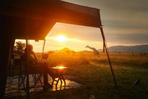 Luxuszelt Serengeti Nationalpark shutterstock 1488763490 500x0 c default