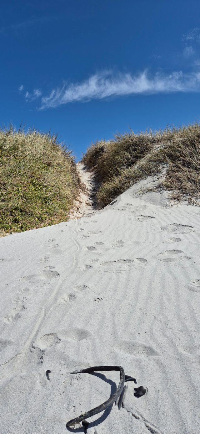 Noordhoek Beach Duenen