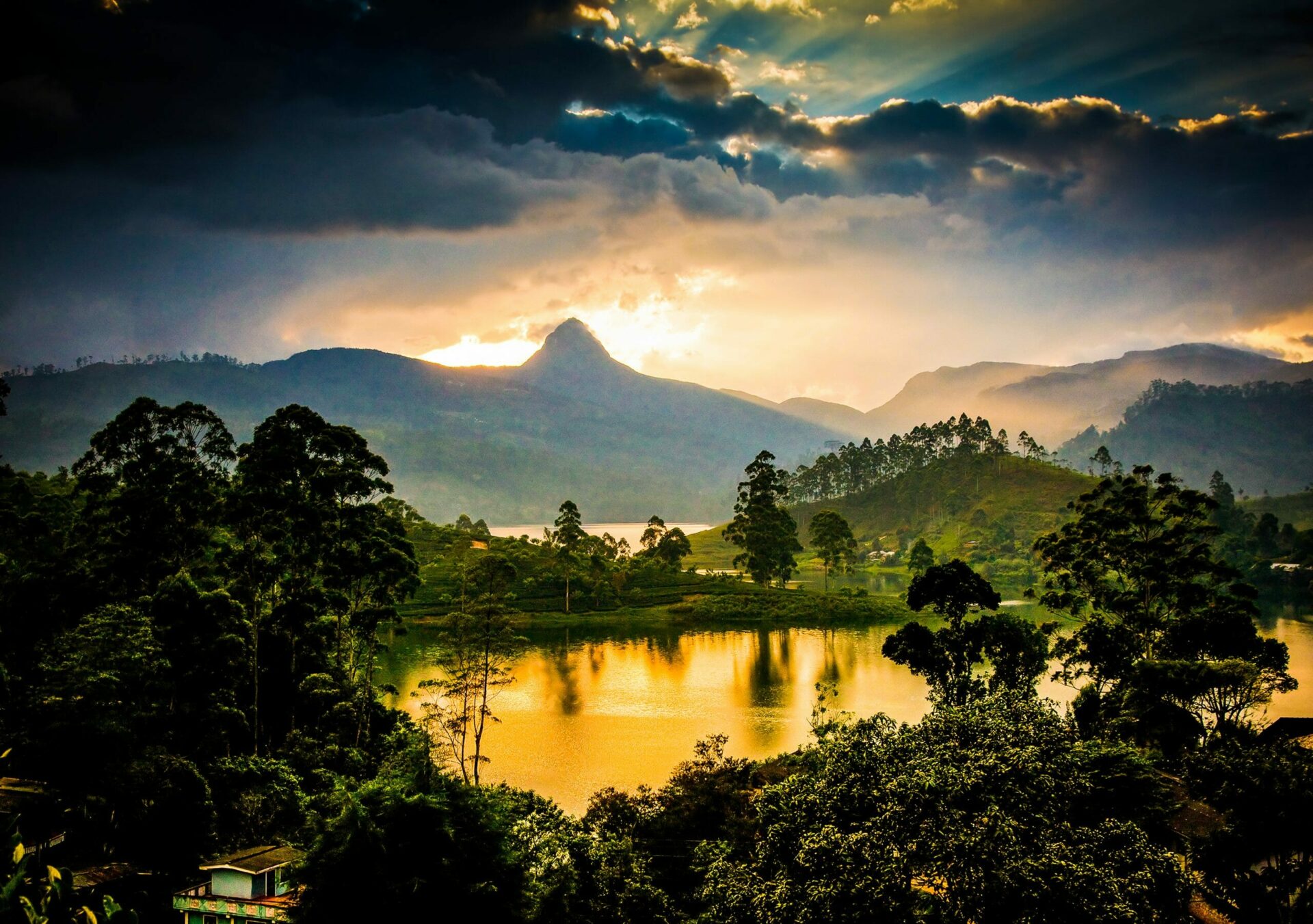 Spektakulärer Sonnenuntergang über einer grünen Teeplantage, umgeben von sanften Hügeln und einem ruhigen See. Die goldenen Sonnenstrahlen tauchen die Landschaft in eine magische Atmosphäre – ein perfektes Reiseziel für Naturliebhaber, Genießer und alle, die nachhaltigen Luxus inmitten idyllischer Natur erleben möchten.