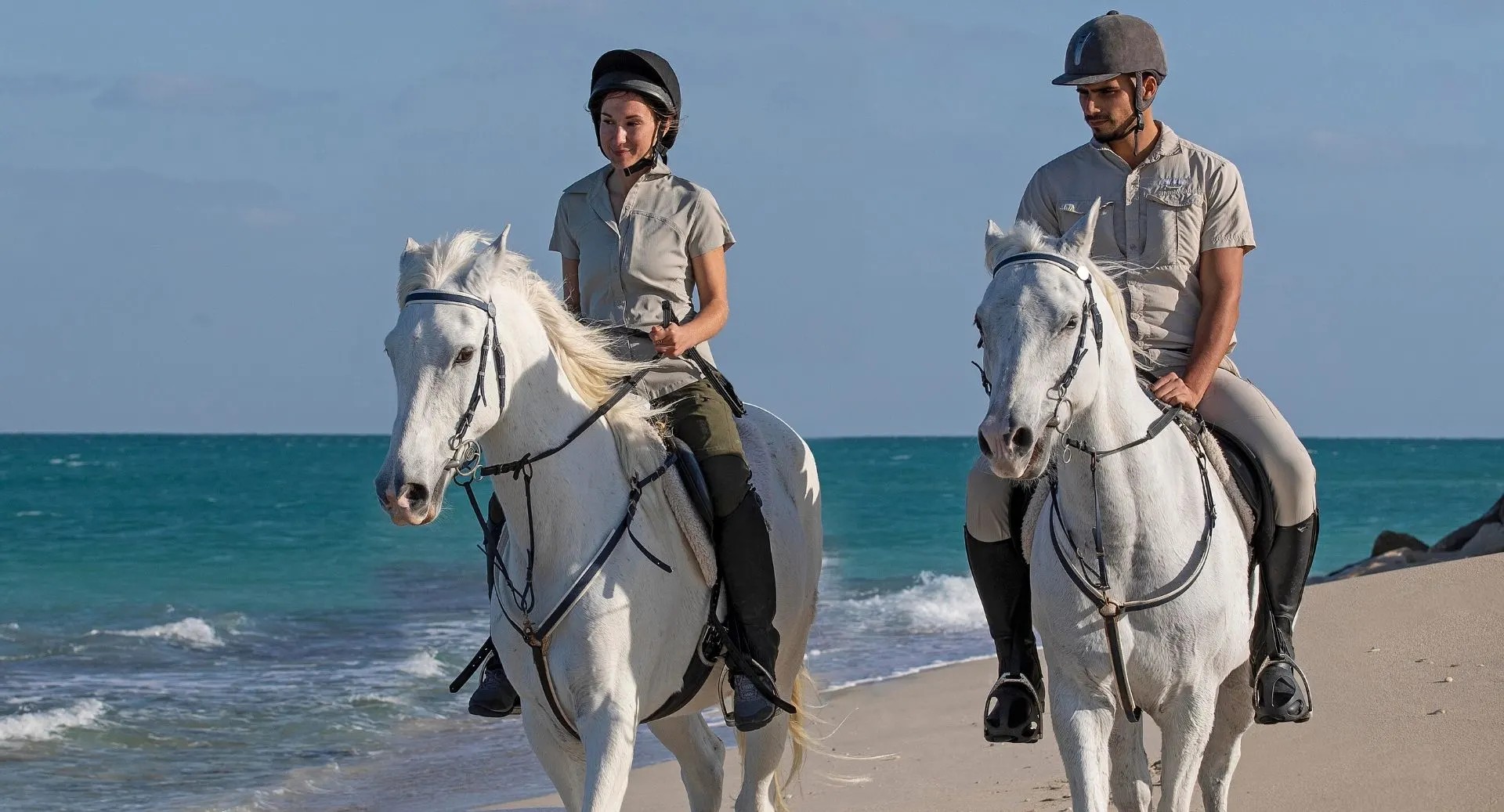 aaly horse riding abu dhabi 1